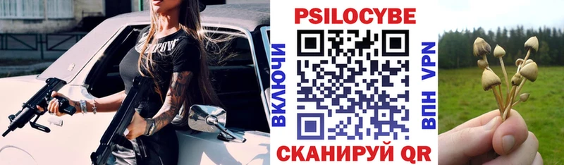 Псилоцибиновые грибы мухоморы  Купить где  Кимовск 